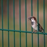 How to Minimize Your Impact on Wildlife While Traveling