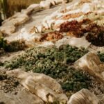 How to Choose Products That Don’t Harm Coral Reefs