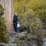 How to start a birdwatching hobby