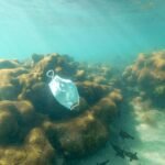 Benefits of Taking Online Environmental Courses school